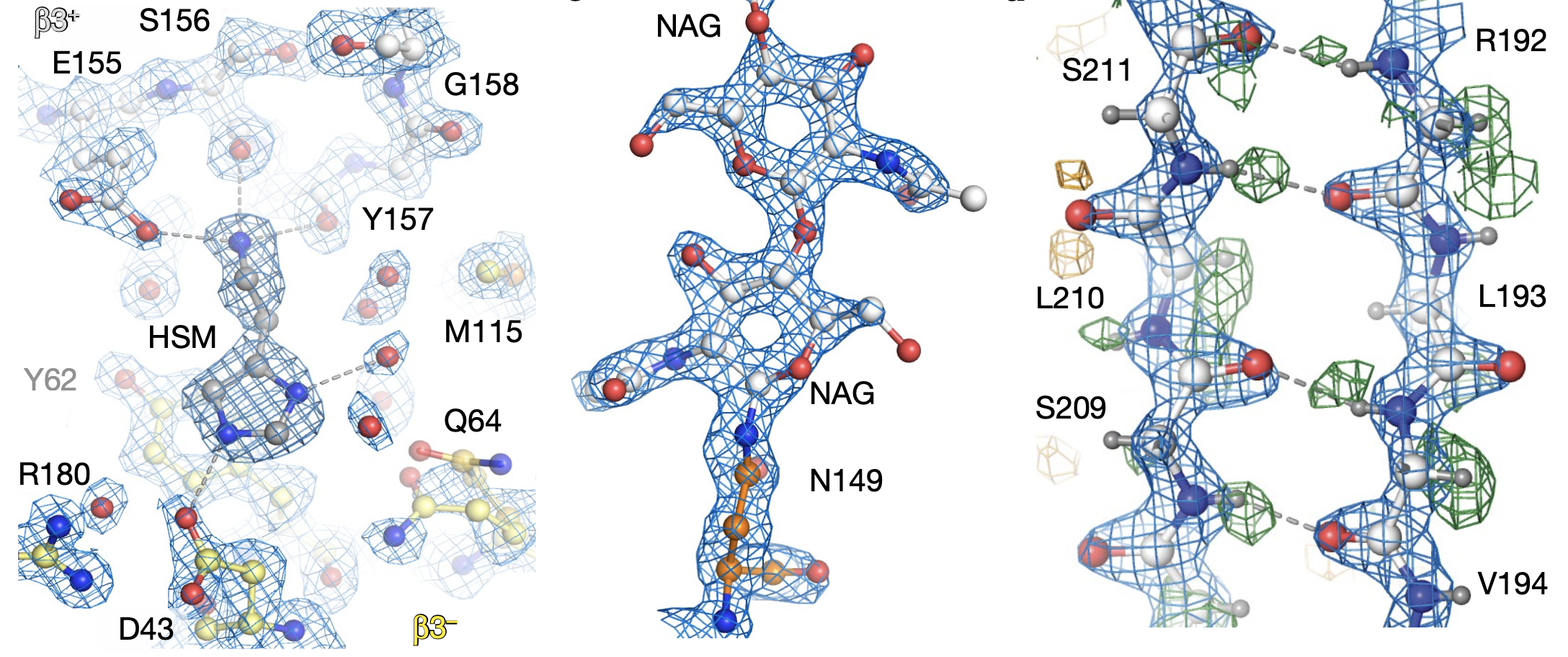 Detailed views of the 1.7 Å GABAA receptor map showing ligand coordination, modifications, and hydrogen bonds.